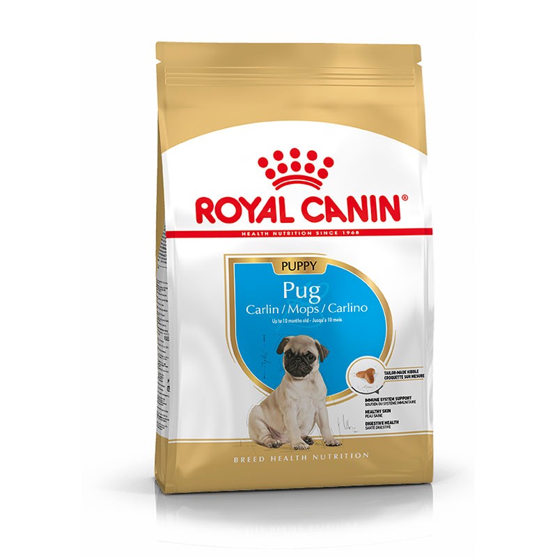 Royal Canin Pug Puppy 1,5 kg pienso cachorro Carlino Gran Canaria Gabo y Gordo