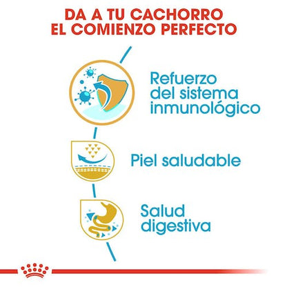 Royal Canin Pug Puppy 1,5 kg pienso cachorro Carlino Gran Canaria Gabo y Gordo