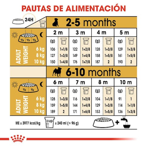 Royal Canin Pug Puppy 1,5 kg pienso cachorro Carlino Gran Canaria Gabo y Gordo