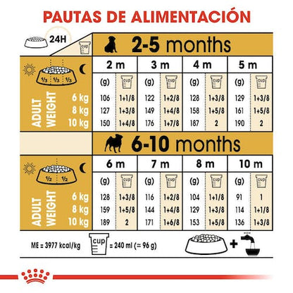 Royal Canin Pug Puppy 1,5 kg pienso cachorro Carlino Gran Canaria Gabo y Gordo
