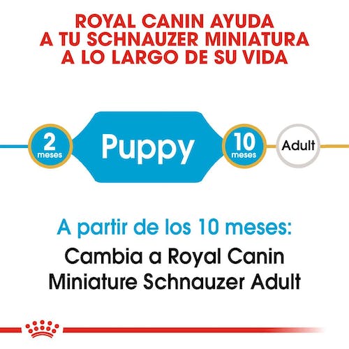 Royal Canin Schnauzer Puppy 1,5 kg pienso cachorro Gabo y Gordo E Shop Gran Canaria