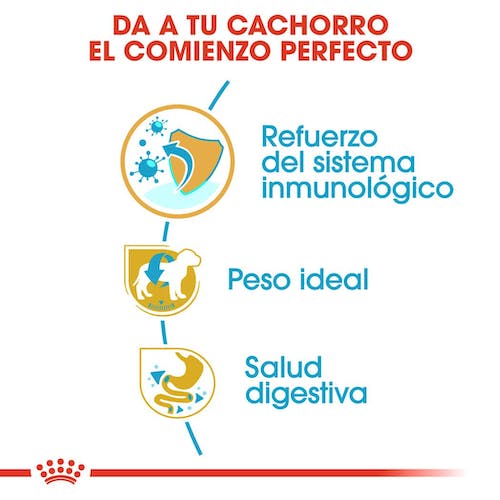 Royal Canin Schnauzer Puppy 1,5 kg pienso cachorro Gabo y Gordo E Shop Gran Canaria