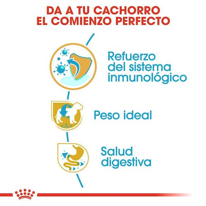 Royal Canin Schnauzer Puppy 1,5 kg pienso cachorro Gabo y Gordo E Shop Gran Canaria