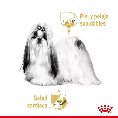 ROYAL CANIN Shih Tzu HÚMEDO 12 x 85 g Gabo&Gordo Pet Shop en Las Palmas de Gran Canaria tienda para mascotas, perros, gatos, conejos, tortugas, animales