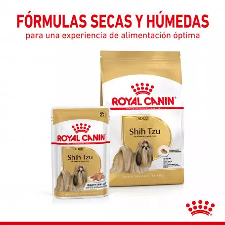 ROYAL CANIN Shih Tzu HÚMEDO 12 x 85 g Gabo&Gordo Pet Shop en Las Palmas de Gran Canaria tienda para mascotas, perros, gatos, conejos, tortugas, animales