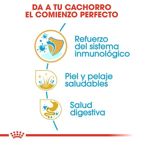 Royal Canin Shih Tzu Puppy 1,5 kg pienso cachorro Gabo y Gordo E Shop Gran Canaria