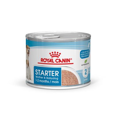 Royal Canin Starter Mother & Babydog mousse 12x195g para perra gestante y cachorros Gabo y Gordo E Shop Gran Canaria