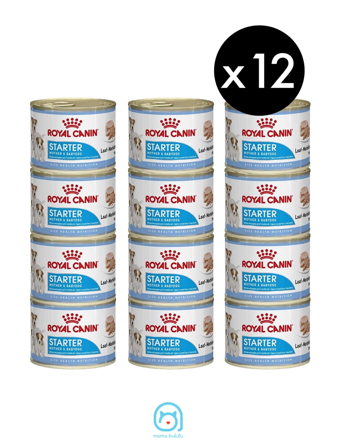 Royal Canin Starter Mother & Babydog mousse 12x195g para perra gestante y cachorros Gabo y Gordo E Shop Gran Canaria