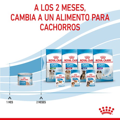 Royal Canin Starter Mother & Babydog mousse 12x195g para perra gestante y cachorros Gabo y Gordo E Shop Gran Canaria