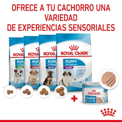 Royal Canin Starter Mother & Babydog mousse 12x195g para perra gestante y cachorros Gabo y Gordo E Shop Gran Canaria
