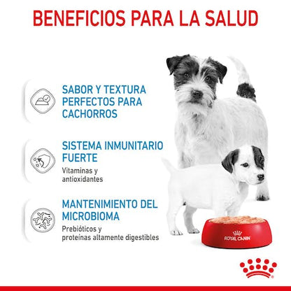 Royal Canin Starter Mother & Babydog mousse 12x195g para perra gestante y cachorros Gabo y Gordo E Shop Gran Canaria