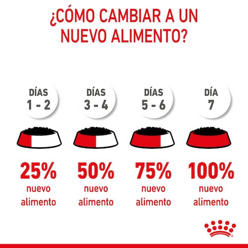 Royal Canin Starter Mother & Babydog mousse 12x195g para perra gestante y cachorros Gabo y Gordo E Shop Gran Canaria
