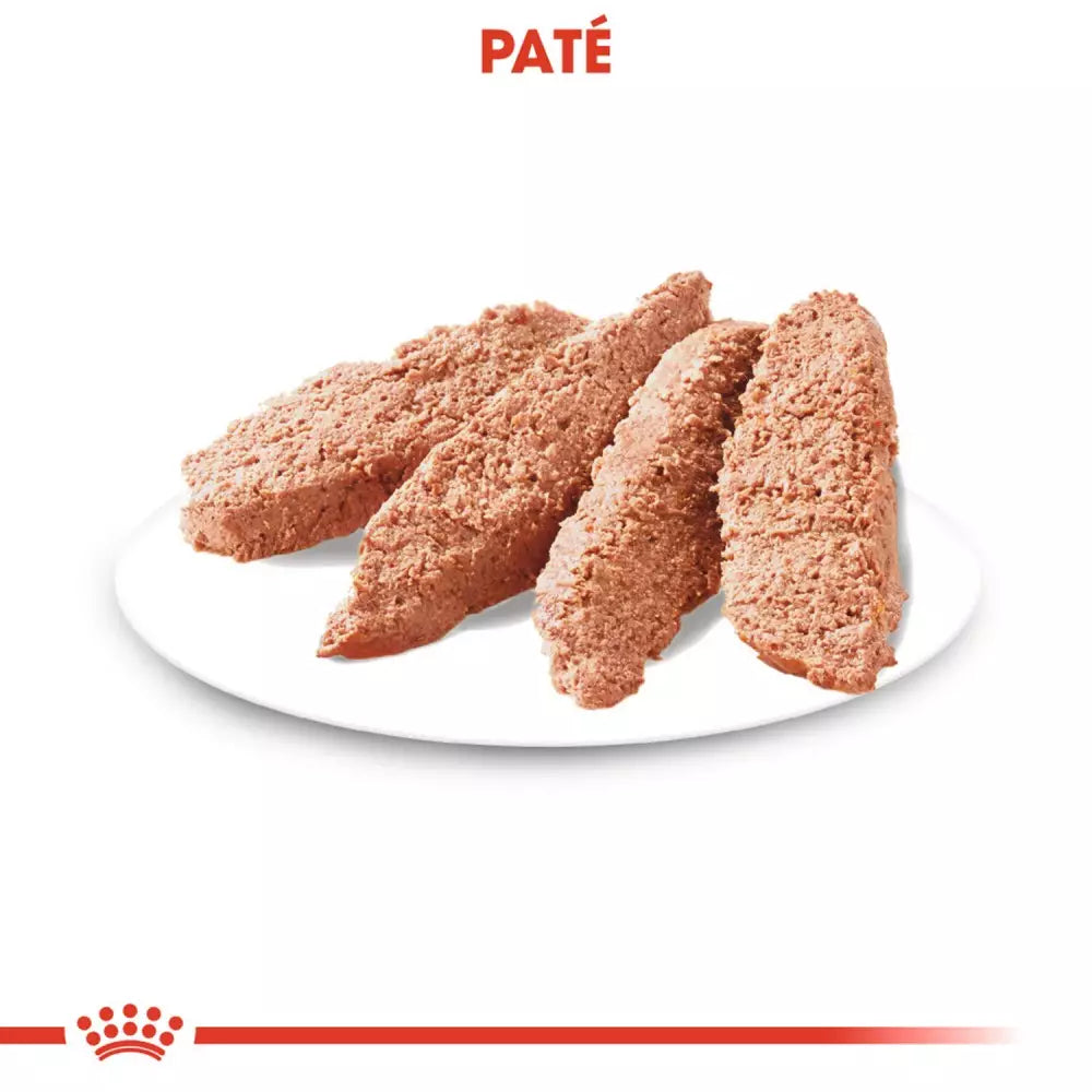 Royal Canin Sterilised paté perros esterilizados 12x85g Gabo y Gordo E Shop
