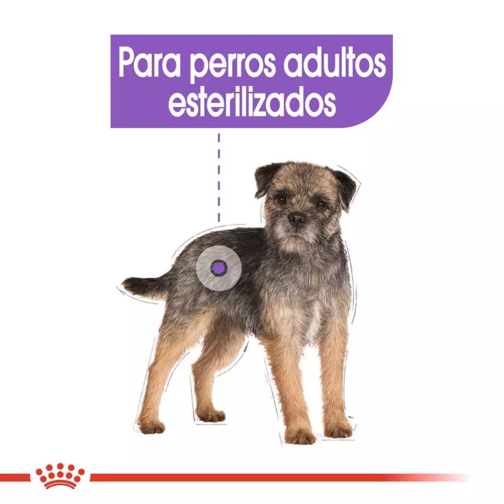 Royal Canin Sterilised paté perros esterilizados 12x85g Gabo y Gordo E Shop