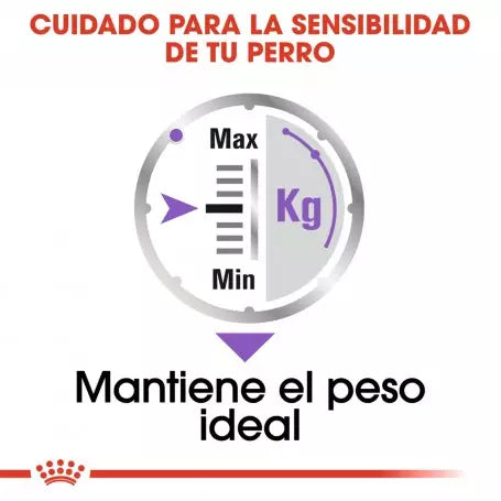 Royal Canin Sterilised paté perros esterilizados 12x85g Gabo y Gordo E Shop