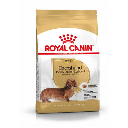 Royal Canin Teckel Adulto pienso para perros Dachshund adulto Gabo y Gordo E Shop Gran Canaria