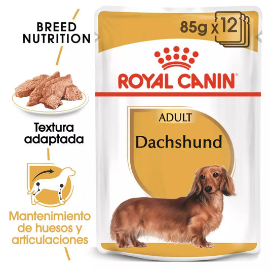Royal Canin Teckel alimento húmedo 12x85g para perro adulto en Gran Canaria Gabo y Gordo