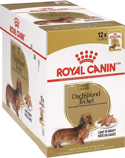 Royal Canin Teckel alimento húmedo 12x85g para perro adulto en Gran Canaria Gabo y Gordo