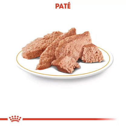 Royal Canin Teckel alimento húmedo 12x85g para perro adulto en Gran Canaria Gabo y Gordo