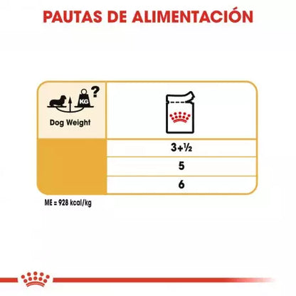 Royal Canin Teckel alimento húmedo 12x85g para perro adulto en Gran Canaria Gabo y Gordo