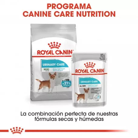 Royal Canin Urinary Care paté perros 12x85g salud urinaria Gabo y Gordo E Shop