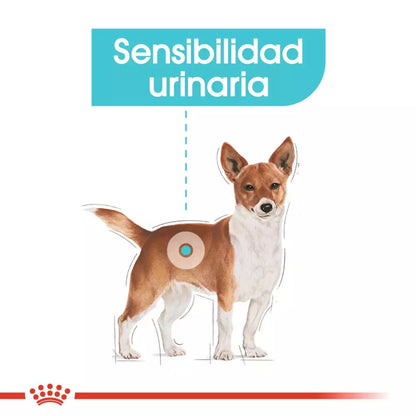 Royal Canin Urinary Care paté perros 12x85g salud urinaria Gabo y Gordo E Shop