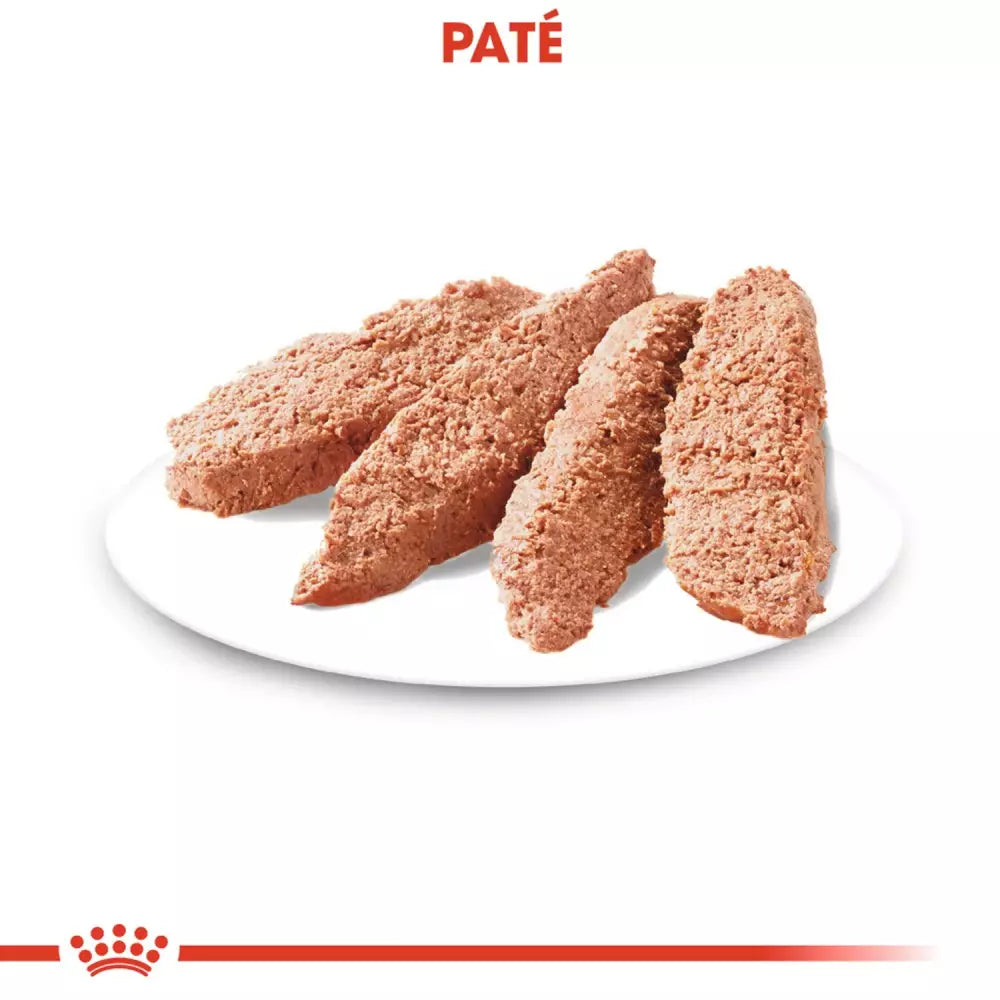 Royal Canin Urinary Care paté perros 12x85g salud urinaria Gabo y Gordo E Shop