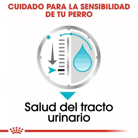 Royal Canin Urinary Care paté perros 12x85g salud urinaria Gabo y Gordo E Shop