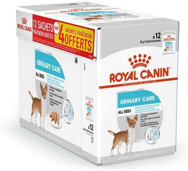 Royal Canin Urinary Care paté perros 12x85g salud urinaria Gabo y Gordo E Shop