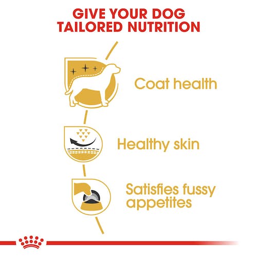 Royal Canin West Highland White Terrier Adulto pienso para perros Westie Gabo y Gordo E Shop Gran Canaria