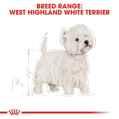 Royal Canin West Highland White Terrier Adulto pienso para perros Westie Gabo y Gordo E Shop Gran Canaria