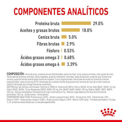 Royal Canin Yorkshire Adult +8 1,5 kg pienso para perros mayores de edad Yorkie Gabo y Gordo E Shop Gran Canaria