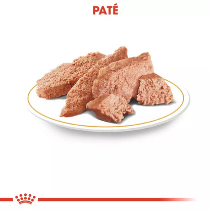 Royal Canin Yorkshire Terrier alimento húmedo 12x85g para perro adulto en Gran Canaria Gabo y Gordo