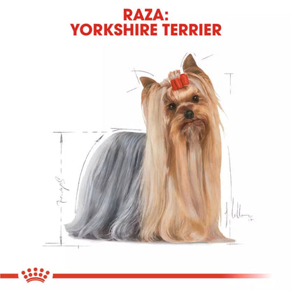 Royal Canin Yorkshire Terrier alimento húmedo 12x85g para perro adulto en Gran Canaria Gabo y Gordo