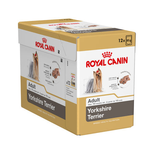 Royal Canin Yorkshire Terrier alimento húmedo 12x85g para perro adulto en Gran Canaria Gabo y Gordo