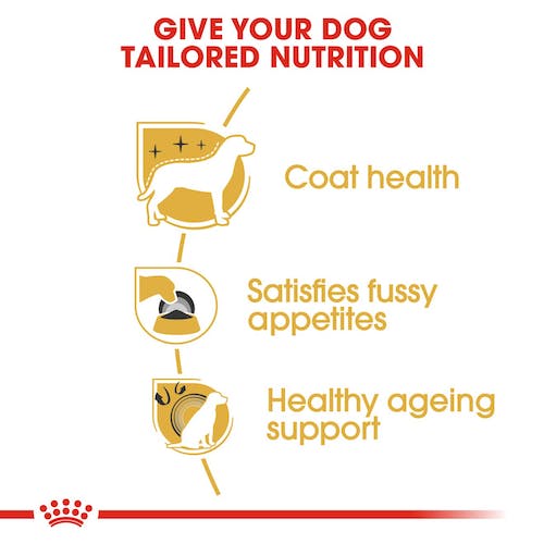 Royal Canin Yorkshire Terrier Adulto pienso para perros raza pequeña Gabo y Gordo E Shop Gran Canaria