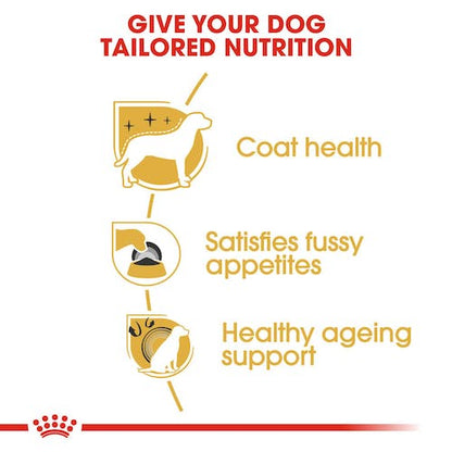 Royal Canin Yorkshire Terrier Adulto pienso para perros raza pequeña Gabo y Gordo E Shop Gran Canaria