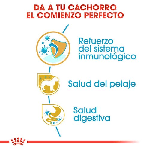 Royal Canin Yorkshire Terrier Puppy pienso para cachorro hasta 10 meses Gabo y Gordo E Shop Gran Canaria