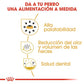ROYAL CANIN CHIHUAHUA ADULTO Gabo y Gordo E Shop, la mejor tienda online en Gran Canaria, Islas Canarias, España, tienda online para mascotas, perros, gatos, conejos, tortugas, animales, accesorios para mascotas en general. 
Gabo y Gordo E Shop is the best online pet shop in Gran Canaria, Canary Islands, Spain.