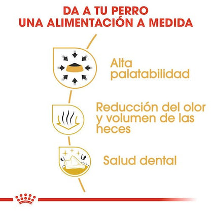 ROYAL CANIN CHIHUAHUA ADULTO Gabo y Gordo E Shop, la mejor tienda online en Gran Canaria, Islas Canarias, España, tienda online para mascotas, perros, gatos, conejos, tortugas, animales, accesorios para mascotas en general. 
Gabo y Gordo E Shop is the best online pet shop in Gran Canaria, Canary Islands, Spain.