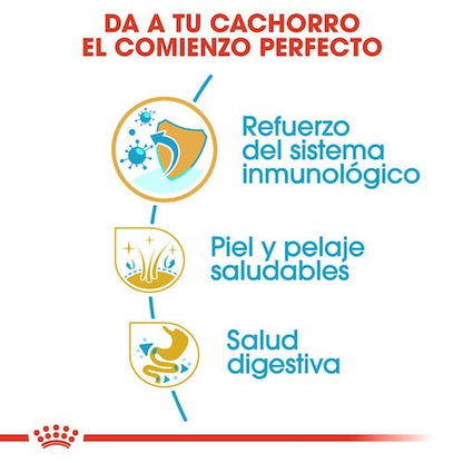 ROYAL CANIN  GOLDEN RETRIEVER PUPPY 12 kg Gabo y Gordo E Shop, la mejor tienda online en Gran Canaria, Islas Canarias, España, tienda online para mascotas, perros, gatos, conejos, tortugas, animales, accesorios para mascotas en general. 
Gabo y Gordo E Shop is the best online pet shop in Gran Canaria, Canary Islands, Spain.