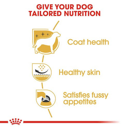ROYAL CANIN West Highland White Terrier Adulto. Gabo y Gordo E Shop, la mejor tienda online en Gran Canaria, las Islas Canarias, España, tienda online para mascotas, perros, gatos, conejos, tortugas, animales, accesorios para mascotas en general. 
Gabo y Gordo E Shop in Gran Canaria, Canary Islands, the best store for pets, dogs, cats, rabbits, turtles, animals, pet accessories.