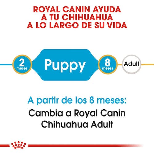 ROYAL CANIN CHIHUAHUA PUPPY Gabo y Gordo E Shop, la mejor tienda online en Gran Canaria, Islas Canarias, España, tienda online para mascotas, perros, gatos, conejos, tortugas, animales, accesorios para mascotas en general. 
Gabo y Gordo E Shop is the best online pet shop in Gran Canaria, Canary Islands, Spain.