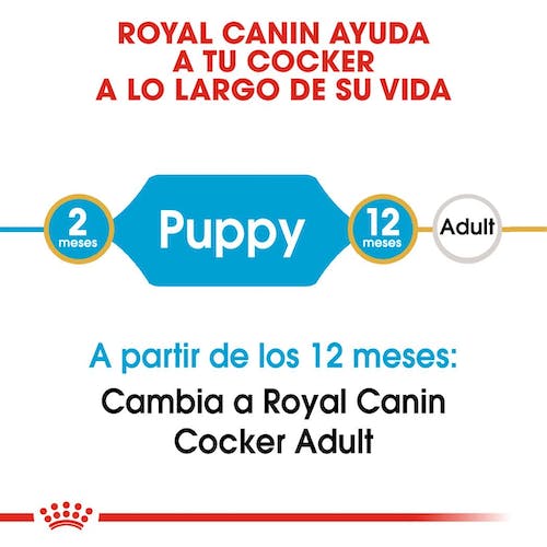 ROYAL CANIN COCKER PUPPY 3 kg Gabo y Gordo E Shop, la mejor tienda online en Gran Canaria, Islas Canarias, España, tienda online para mascotas, perros, gatos, conejos, tortugas, animales, accesorios para mascotas en general. 
Gabo y Gordo E Shop is the best online pet shop in Gran Canaria, Canary Islands, Spain.