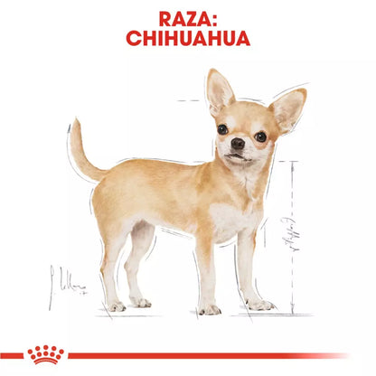 ROYAL CANIN RAZA CHIHUAHUA HÚMEDO 12 x 85 g Gabo y Gordo E Shop, la mejor tienda online en Gran Canaria, Islas Canarias, España, tienda online para mascotas, perros, gatos, conejos, tortugas, animales, accesorios para mascotas en general. 
Gabo y Gordo E Shop is the best online pet shop in Gran Canaria, Canary Islands, Spain.